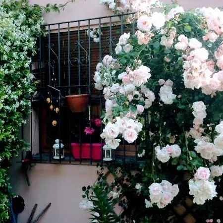 La Terrazza Di Dora *