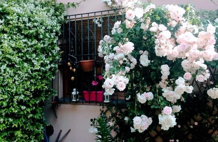 La Terrazza Di Dora *